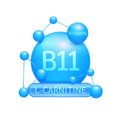 Rebrand GLP-1 Peptides with Vitamin B12 and L-Carnitine molecular structure illustration