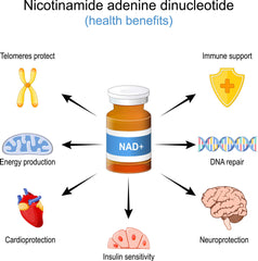NAD+ Peptide 400mg supplement bottle with health benefits icons including energy production, DNA repair, immune support, cardioprotection, insulin sensitivity, neuroprotection, and telomere protection.