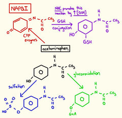 Conjugated Acetaminophen 650mg with Glutathione 200mg Pain Relief with Liver Detox Contract Manufactured