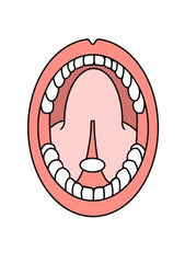 Injectable Grade Lyophilized NAD+ Capsules 300mg 24-Pack
