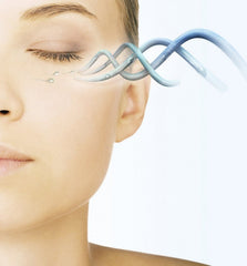 Best Organic Skincare Phloretin-Ferulic Acid AntiOxidant Night Serum 25lbs