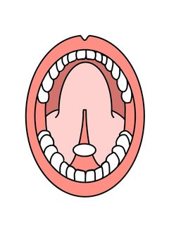 Lyophilized NAD+ Capsules 300mg 24-Pack